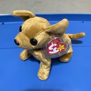 TY Beanie Baby, 1999 Retired NWT, TINY the Chihuahua Dog Plush